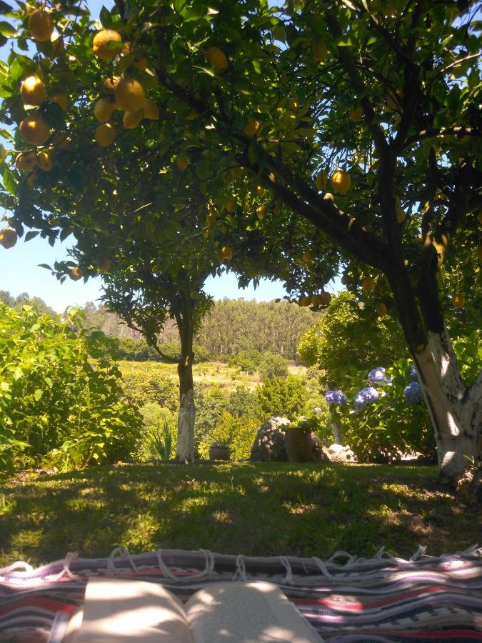 Quinta Da Chanca Paredes de Coura Exterior photo